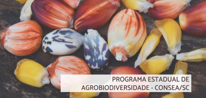 Lançado o Programa Estadual de Agrobiodiversidade